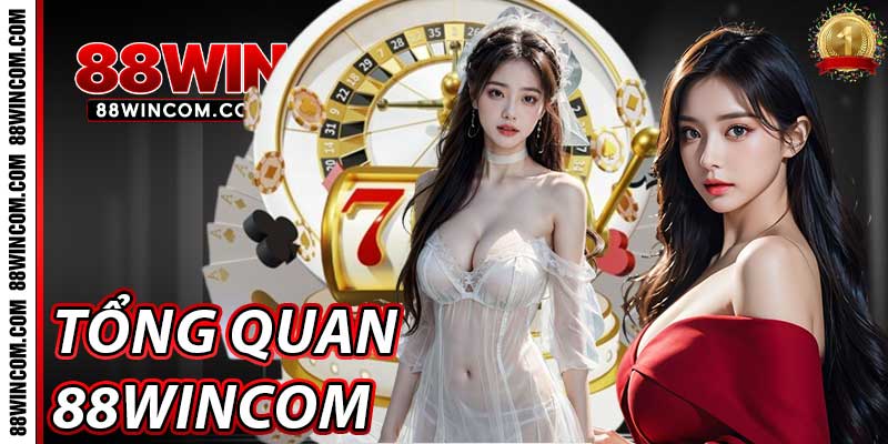 Tổng quan về 88win